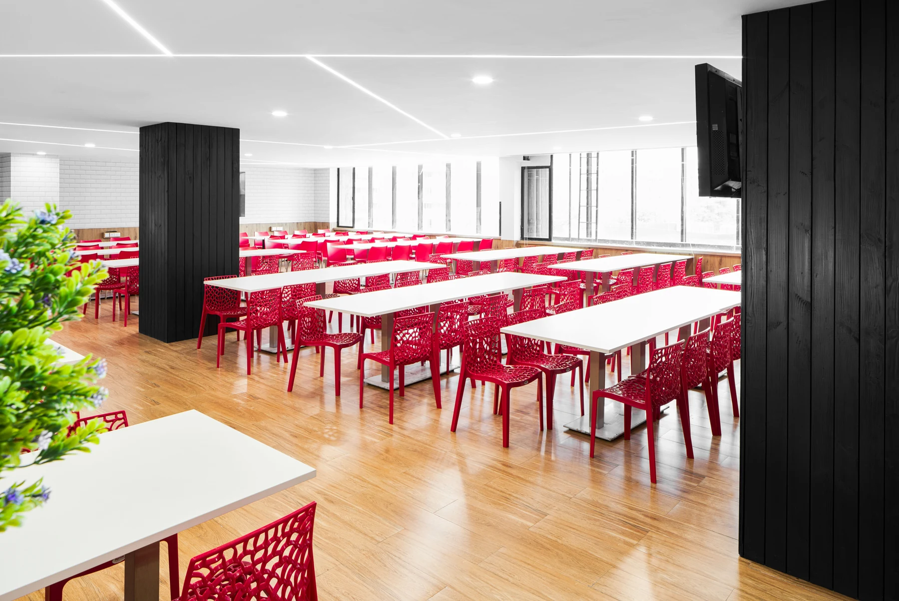 Shared dining area with red chairs, long pale tables and planting.