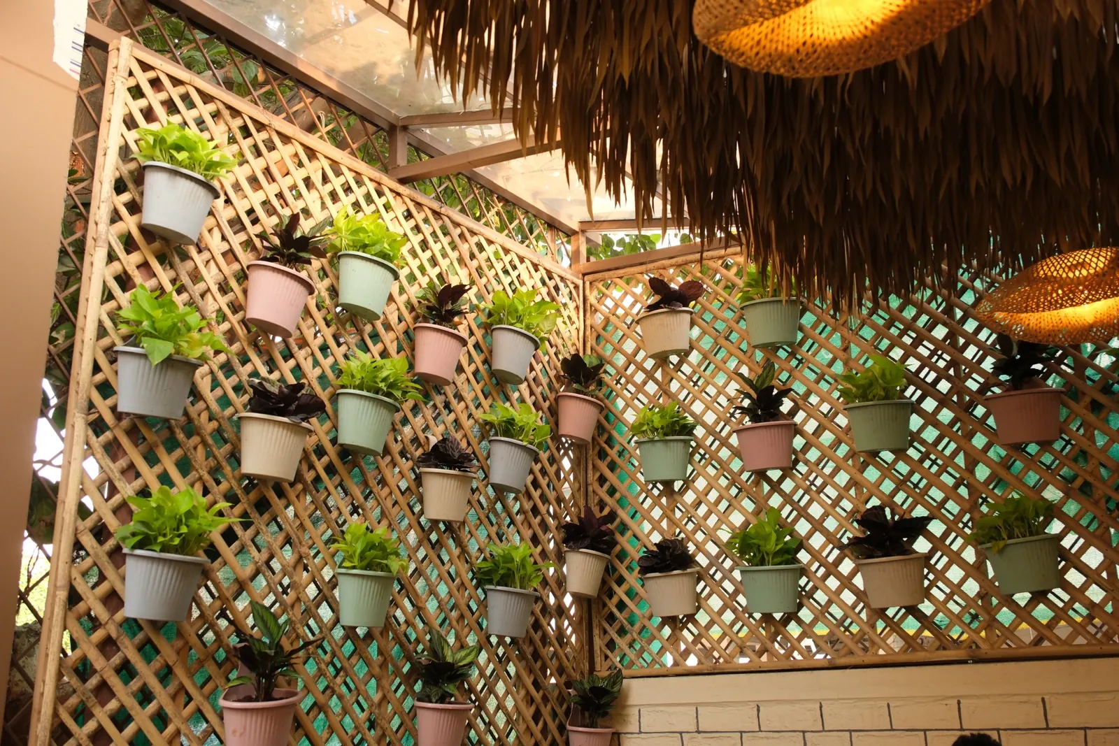 Planted lattice wall panel at Street Coffee BVP Pune — live greenery and texture in the cafe interior.